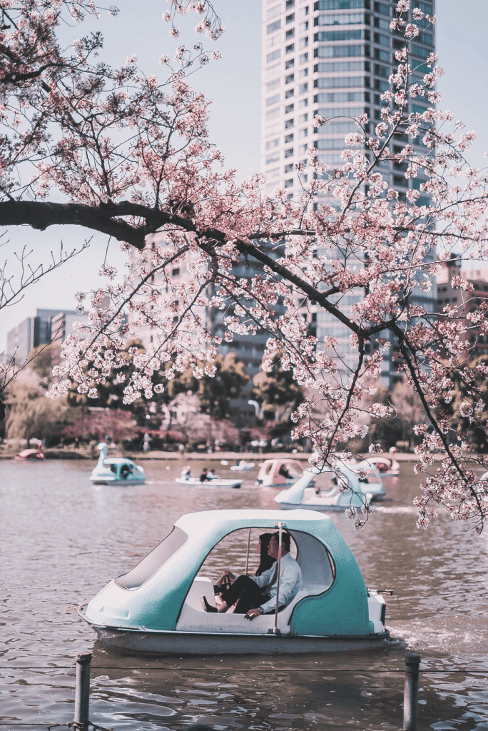 Ueno Park boating