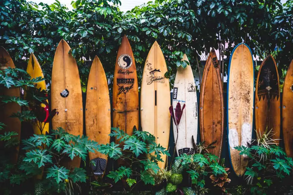 Best surfing spots in Japan