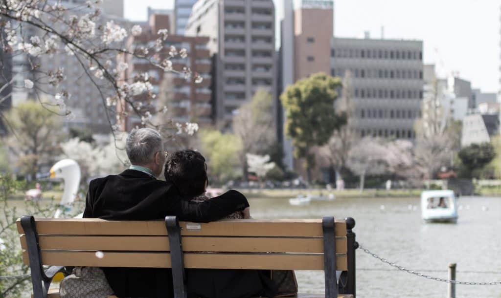 old couple in cherry blossom season