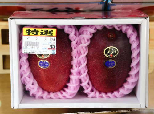 The $22,500 Melon: Japan's Most Expensive Fruits - A Day Of Zen