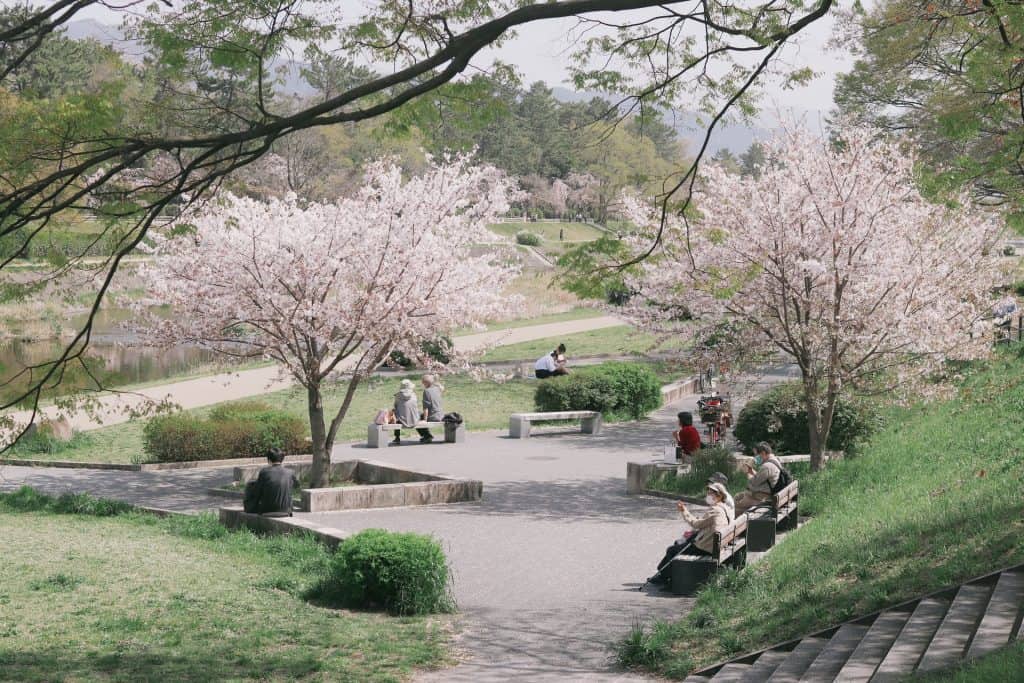 quiet Tokyo park