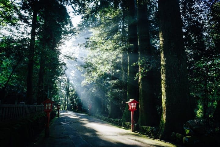 is Hakone worth visiting