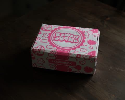 cute japanese subscription box