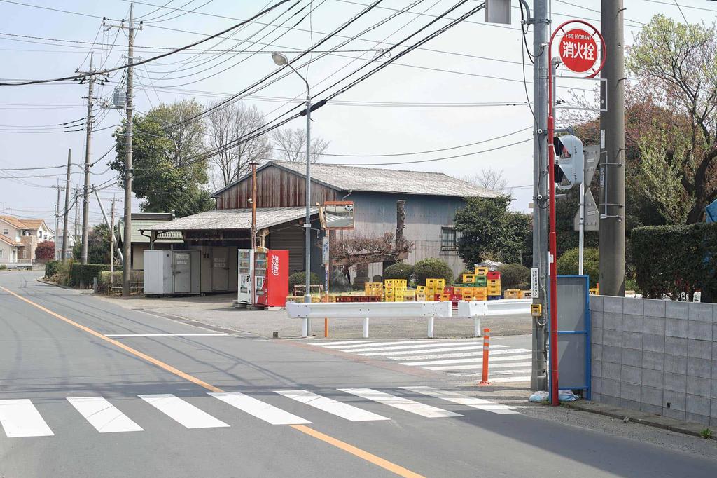 Tokyo Street