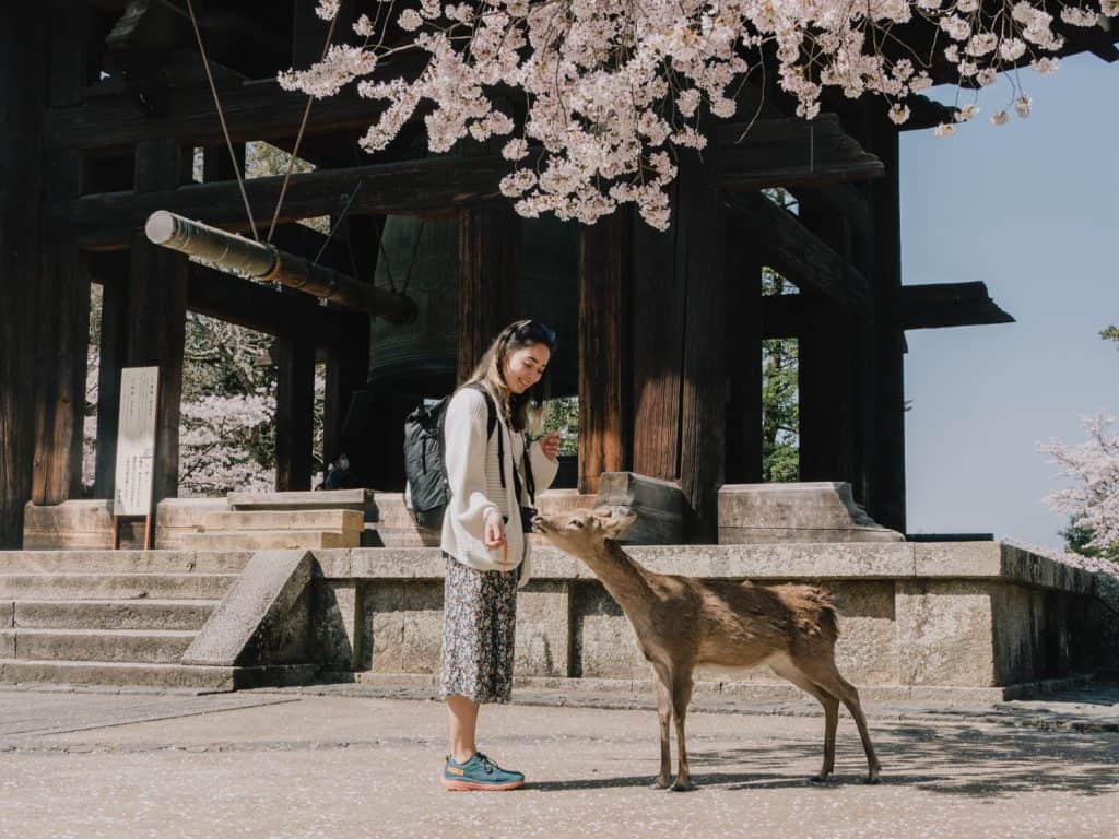 is Nara worth visiting