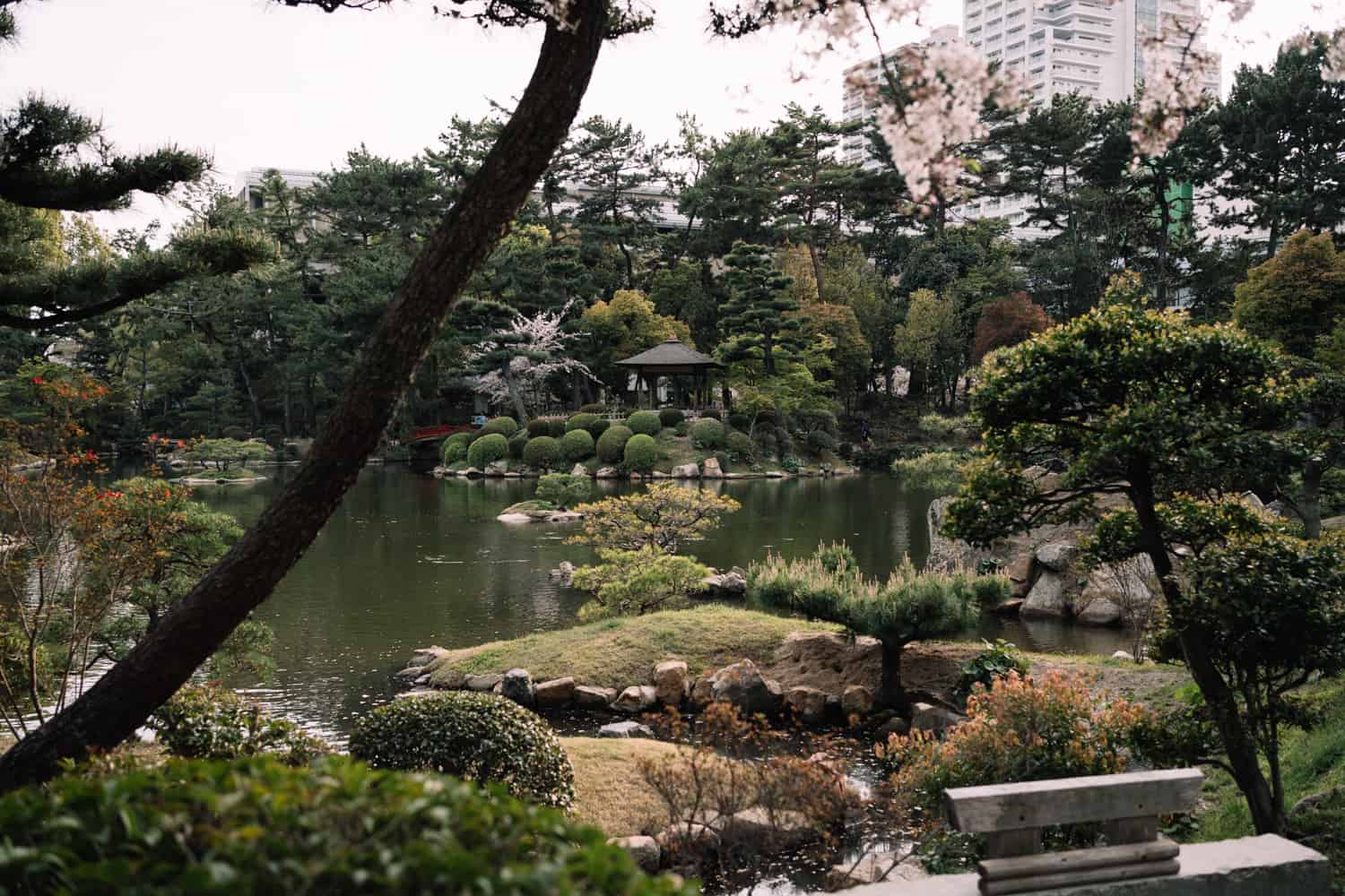 beautiful Japanese garden