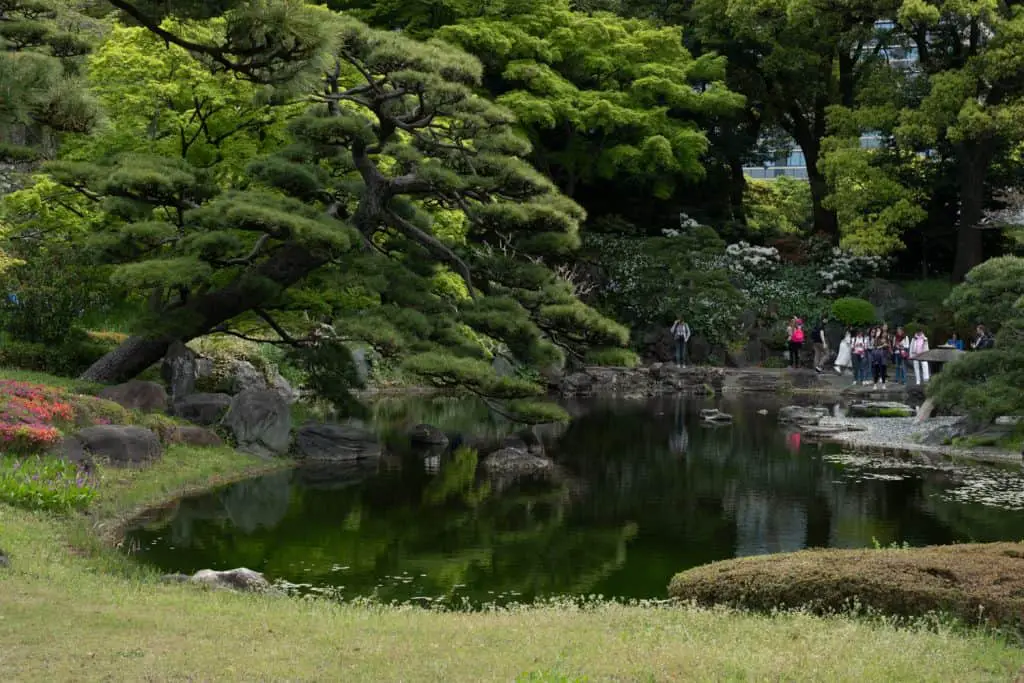 Tokyo Palace gardens