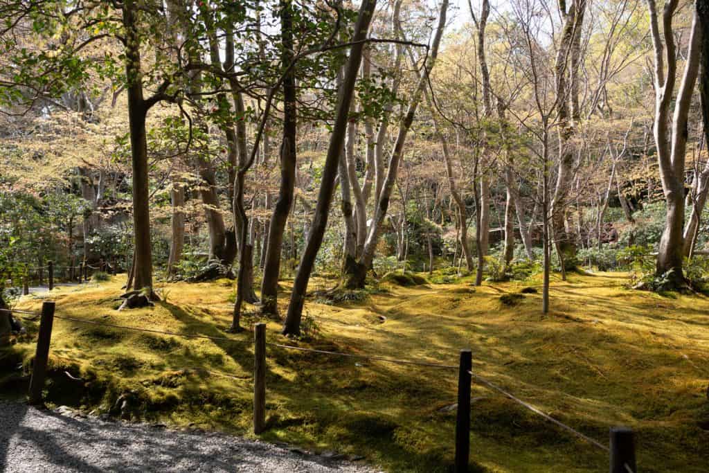 gioji moss garden arashiyama