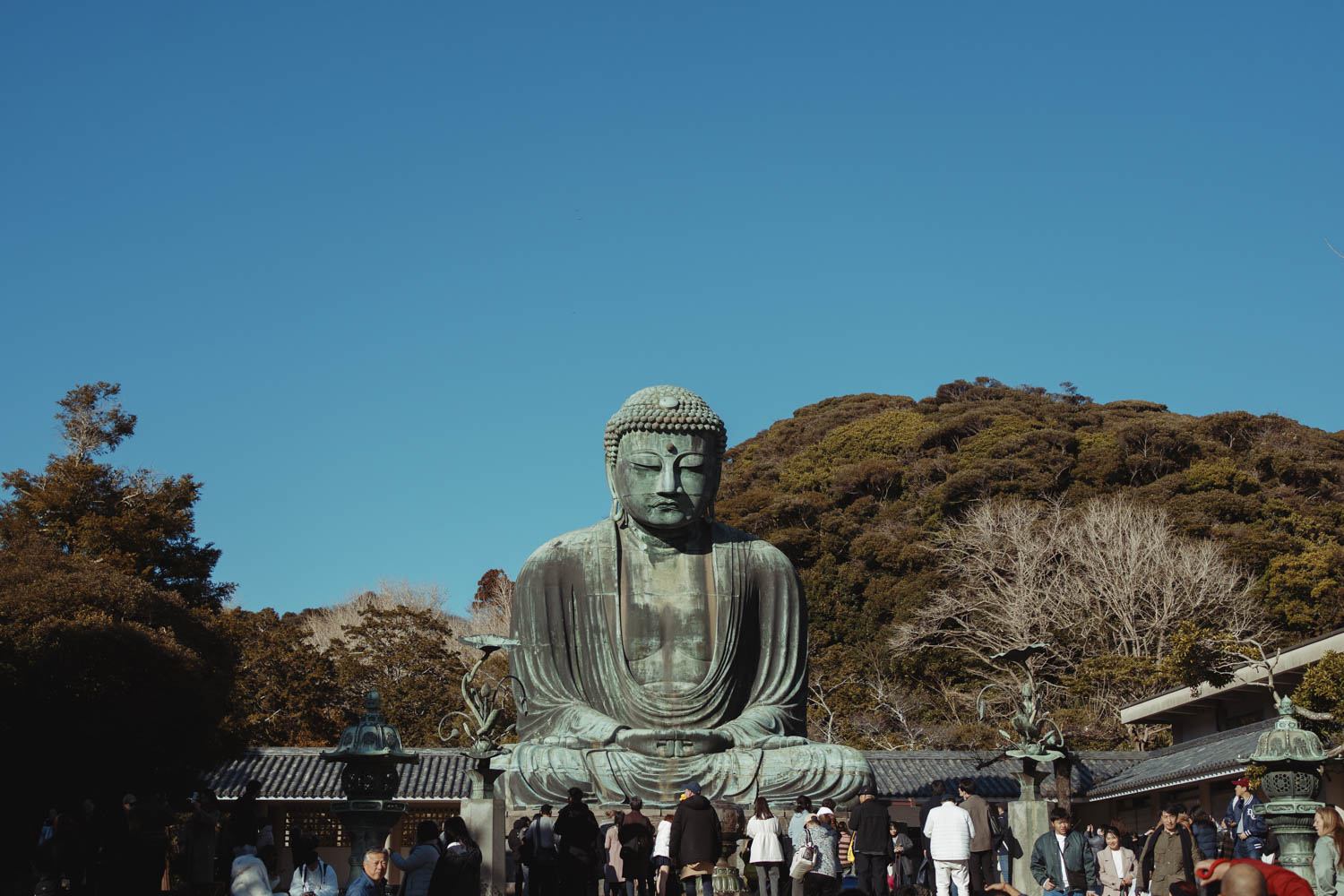 Kamakura Buddha Feature